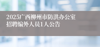 2025广西柳州市防洪办公室招聘编外人员1人公告
