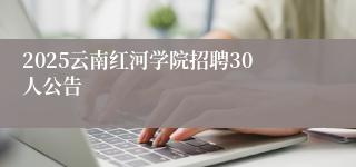 2025云南红河学院招聘30人公告