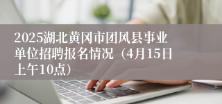 2025湖北黄冈市团风县事业单位招聘报名情况（4月15日上午10点）