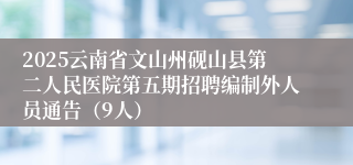 2025云南省文山州砚山县第二人民医院第五期招聘编制外人员通告（9人）
