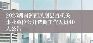 2025湖南湘西凤凰县直机关事业单位公开选调工作人员40人公告