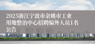 2025浙江宁波市余姚市工业用地整治中心招聘编外人员1名公告