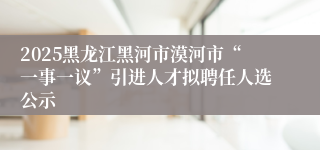 2025黑龙江黑河市漠河市“一事一议”引进人才拟聘任人选公示