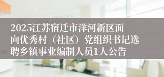 2025江苏宿迁市洋河新区面向优秀村（社区）党组织书记选聘乡镇事业编制人员1人公告