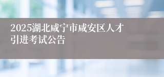 2025湖北咸宁市咸安区人才引进考试公告