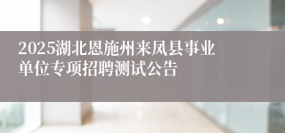 2025湖北恩施州来凤县事业单位专项招聘测试公告