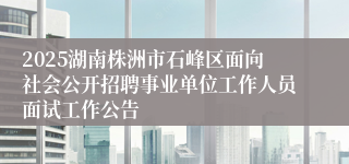 2025湖南株洲市石峰区面向社会公开招聘事业单位工作人员面试工作公告