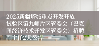 2025新疆塔城重点开发开放试验区第九师片区管委会（巴克图经济技术开发区管委会）招聘副主任2人公告