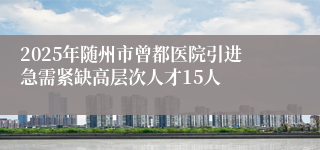 2025年随州市曾都医院引进急需紧缺高层次人才15人