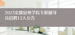 2025安徽宿州学院专职辅导员招聘12人公告