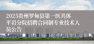 2025贵州罗甸县第一医共体平岩分院招聘合同制专业技术人员公告