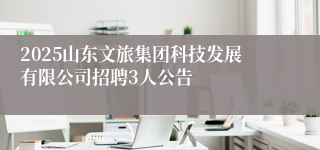 2025山东文旅集团科技发展有限公司招聘3人公告