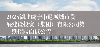 2025湖北咸宁市通城城市发展建设投资（集团）有限公司第一期招聘面试公告                                    	       