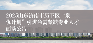 2025山东济南市历下区“泉优计划”引进急需紧缺专业人才面谈公告