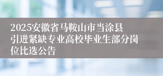 2025安徽省马鞍山市当涂县引进紧缺专业高校毕业生部分岗位比选公告