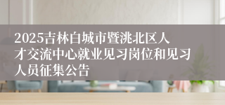 2025吉林白城市暨洮北区人才交流中心就业见习岗位和见习人员征集公告