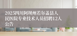 2025四川阿坝州若尔盖县人民医院专业技术人员招聘12人公告