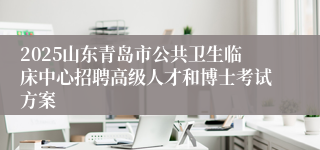 2025山东青岛市公共卫生临床中心招聘高级人才和博士考试方案