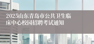 2025山东青岛市公共卫生临床中心校园招聘考试通知