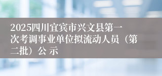 2025四川宜宾市兴文县第一次考调事业单位拟流动人员（第二批）公 示