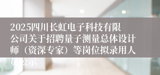 2025四川长虹电子科技有限公司关于招聘量子测量总体设计师（资深专家）等岗位拟录用人员公示