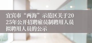 宜宾市“两海”示范区关于2025年公开招聘雇员制聘用人员拟聘用人员的公示
