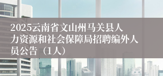 2025云南省文山州马关县人力资源和社会保障局招聘编外人员公告（1人）