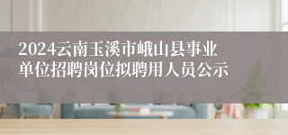 2024云南玉溪市峨山县事业单位招聘岗位拟聘用人员公示