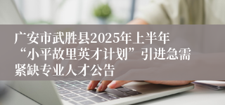 广安市武胜县2025年上半年“小平故里英才计划”引进急需紧缺专业人才公告