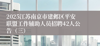 2025江苏南京市建邺区平安联盟工作辅助人员招聘42人公告（三）