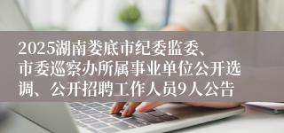 2025湖南娄底市纪委监委、市委巡察办所属事业单位公开选调、公开招聘工作人员9人公告