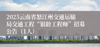 2025云南省怒江州交通运输局交通工程“银龄工程师”招募公告（1人）
