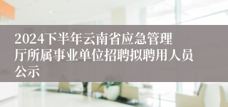 2024下半年云南省应急管理厅所属事业单位招聘拟聘用人员公示