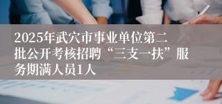 2025年武穴市事业单位第二批公开考核招聘“三支一扶”服务期满人员1人