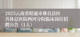 2025云南省昭通市彝良县医共体总医院两河分院临床岗位招聘公告（1人）