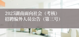 2025湖南面向社会（考核）招聘编外人员公告（第三号）