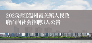 2025浙江温州霞关镇人民政府面向社会招聘3人公告