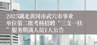2025湖北黄冈市武穴市事业单位第二批考核招聘“三支一扶”服务期满人员1人公告