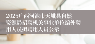 2025广西河池市天峨县自然资源局招聘机关事业单位编外聘用人员拟聘用人员公示
