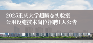 2025重庆大学超瞬态实验室公用设施技术岗位招聘1人公告