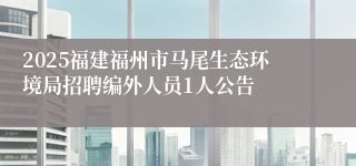 2025福建福州市马尾生态环境局招聘编外人员1人公告
