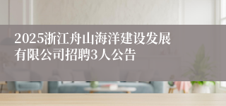 2025浙江舟山海洋建设发展有限公司招聘3人公告
