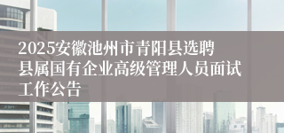 2025安徽池州市青阳县选聘县属国有企业高级管理人员面试工作公告