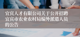 宜宾人才有限公司关于公开招聘宜宾市农业农村局编外派遣人员的公告