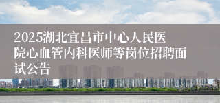 2025湖北宜昌市中心人民医院心血管内科医师等岗位招聘面试公告