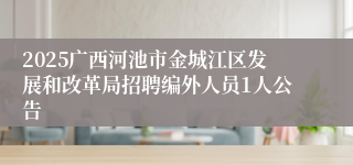 2025广西河池市金城江区发展和改革局招聘编外人员1人公告