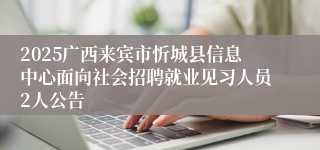 2025广西来宾市忻城县信息中心面向社会招聘就业见习人员2人公告