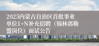 2025内蒙古自治区首批事业单位1+N补充招聘（锡林郭勒盟岗位）面试公告