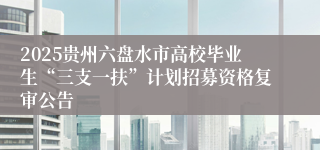 2025贵州六盘水市高校毕业生“三支一扶”计划招募资格复审公告