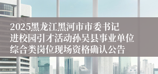 2025黑龙江黑河市市委书记进校园引才活动孙吴县事业单位综合类岗位现场资格确认公告
